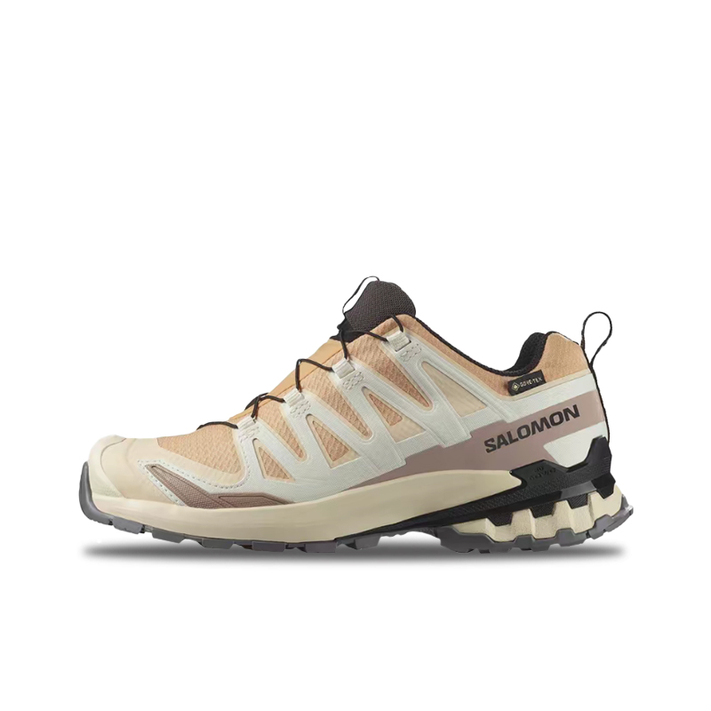 Salomon XA Pro 3D V9 GTX: Dams – Salomon Shoes Xa Pro 3D recenzja i cena